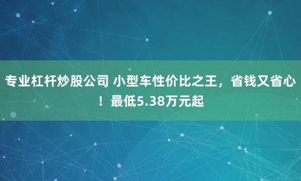专业杠杆炒股公司 小型车性价比之王，省钱又省心！最低5.38万元起