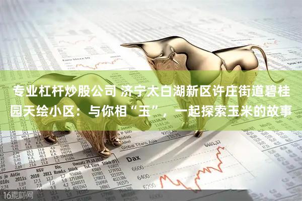 专业杠杆炒股公司 济宁太白湖新区许庄街道碧桂园天绘小区：与你相“玉”，一起探索玉米的故事